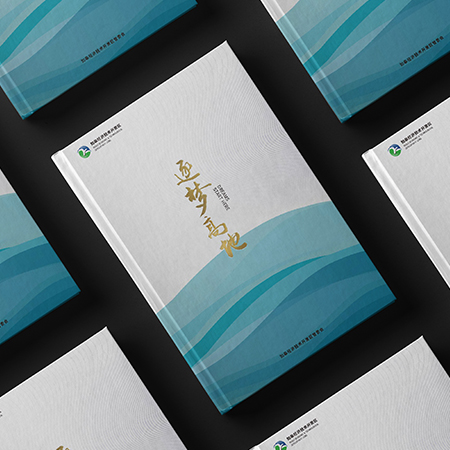 如皋經(jīng)濟開發(fā)區(qū) — 畫冊設計