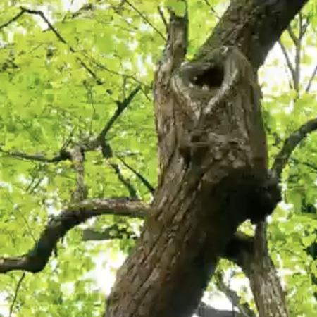 長(zhǎng)白山藝術(shù)學(xué)院