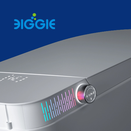 BIGGIE&mdash;&mdash;畫冊(cè)設(shè)計(jì)